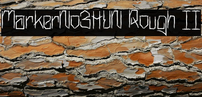 MarkerNo3HUN Rough II Example 1