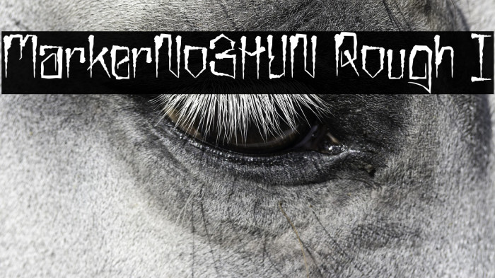 MarkerNo3HUN Rough I Example 1