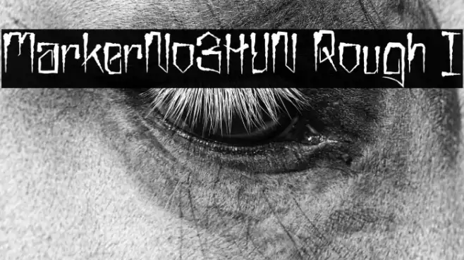 MarkerNo3HUN Rough I Example 1