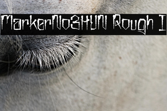 MarkerNo3HUN Rough I Example 2