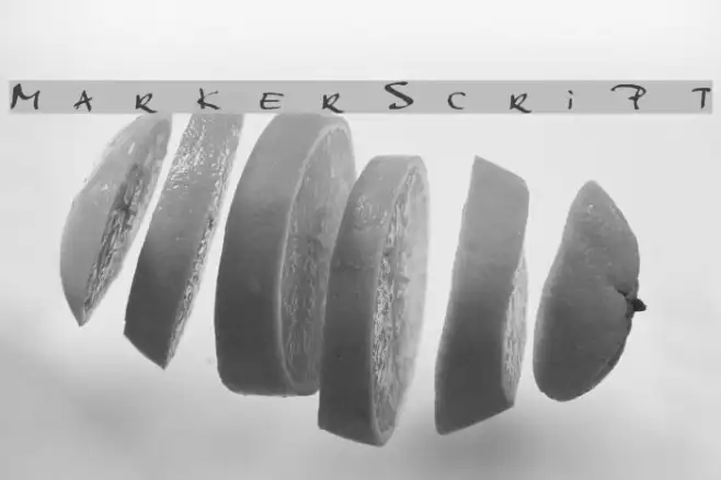 MarkerScript Example 2