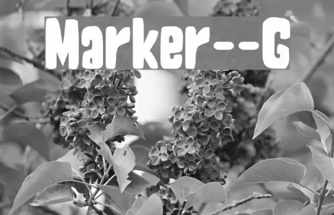 Marker__G Font examples