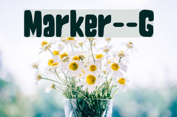 Marker__G Example 3