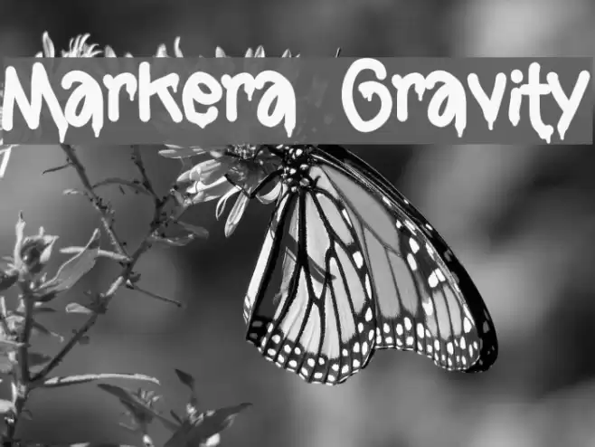 Markera Gravity Font examples