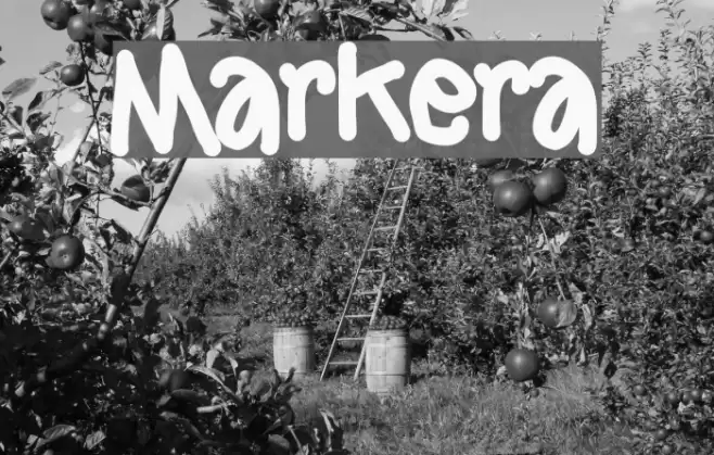 Markera Font examples