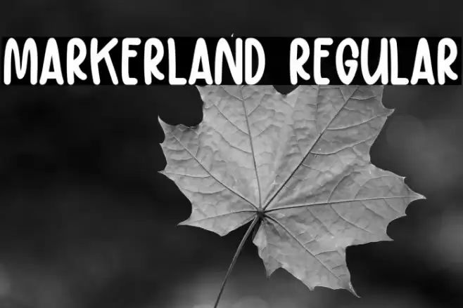 Markerland Regular Font examples