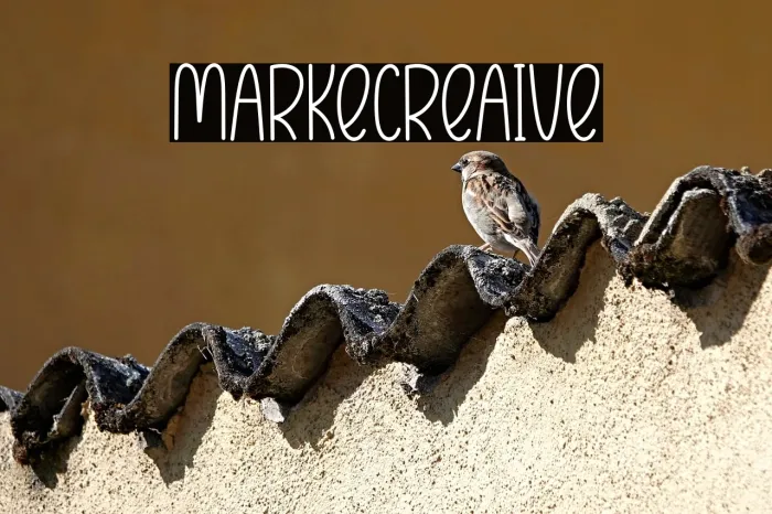 Market Creative Example 2