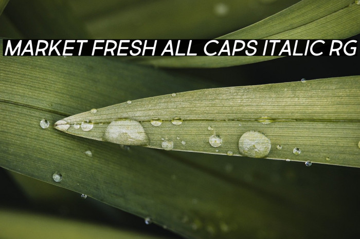 Market Fresh All Caps Italic Rg Example 2