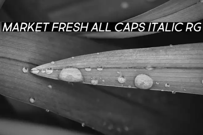 Market Fresh All Caps Italic Rg Example 2