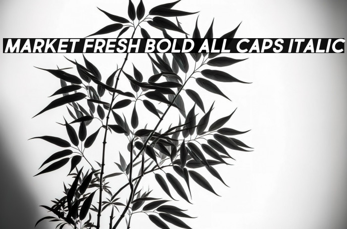 Market Fresh Bold All Caps Italic Example 1