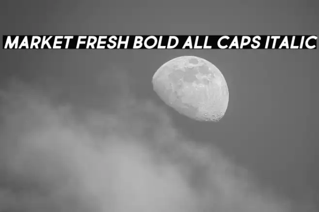 Market Fresh Bold All Caps Italic Font examples