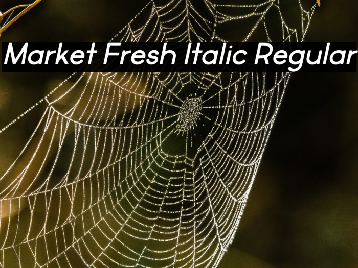 Market Fresh Italic Regular Example 3