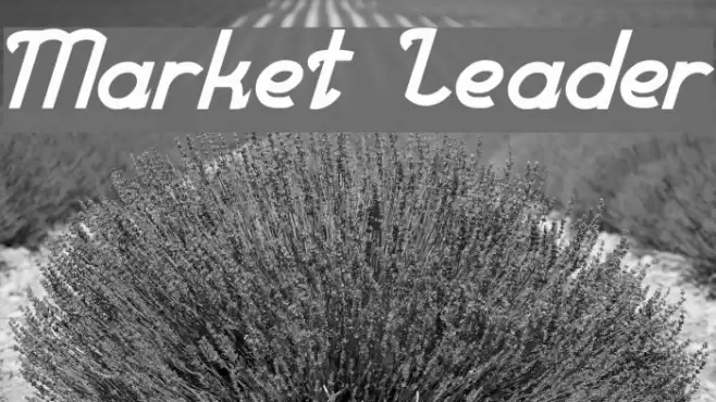 Market Leader Font examples
