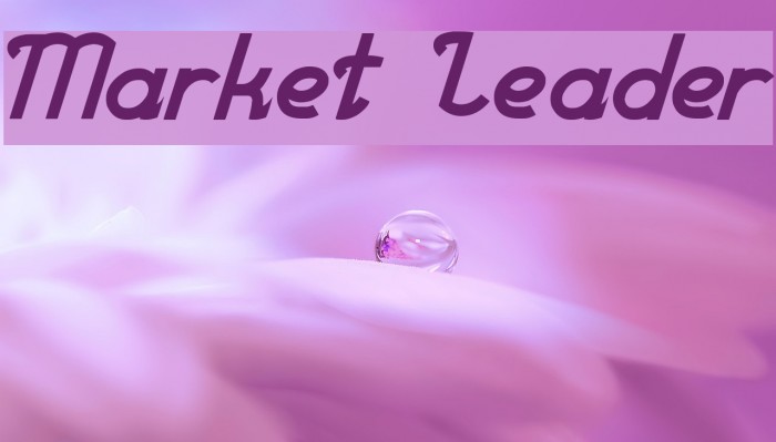 Market Leader Font examples