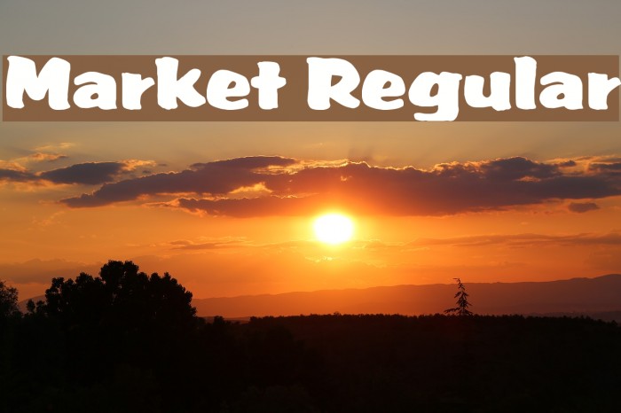 Market Regular Font examples