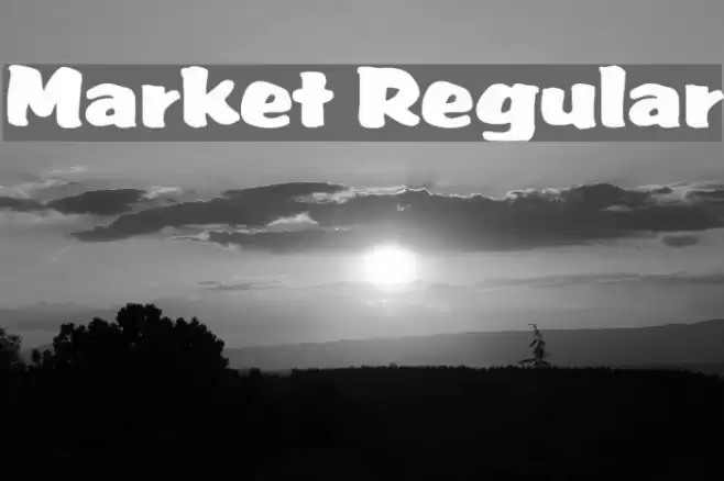 Market Regular خط examples