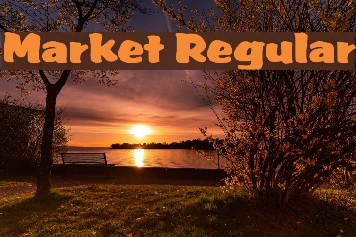 Market Regular Font examples