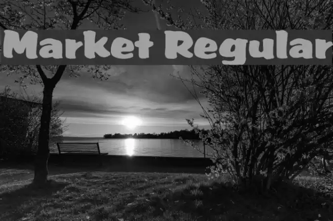 Market Regular خط examples
