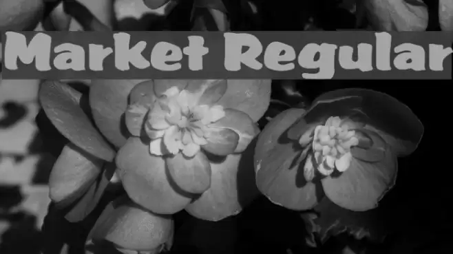 Market Regular خط examples
