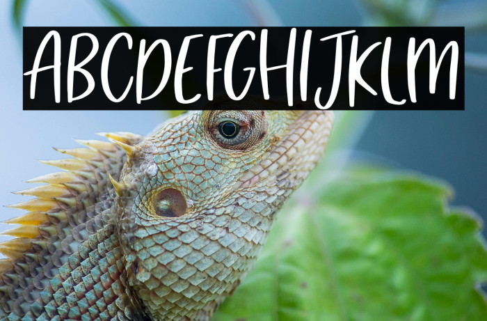 Market Saturday Example 2