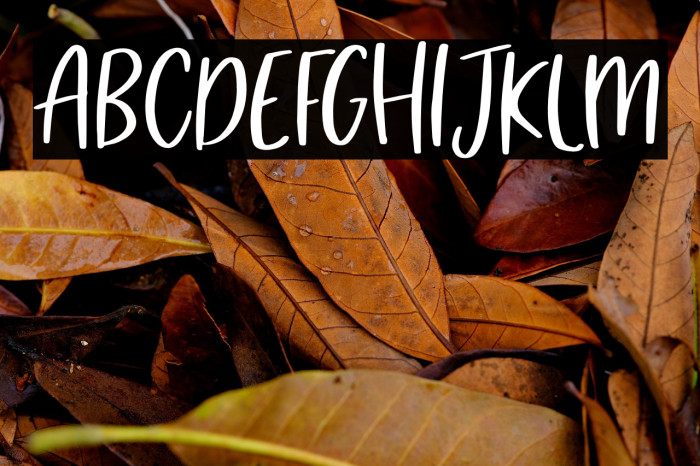 Market Saturday Example 3