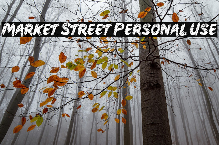 Market Street Personal Use Fonte examples
