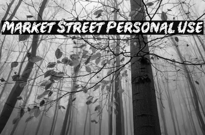 Market Street Personal Use Fuentes examples