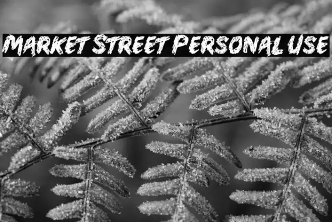 Market Street Personal Use Fuentes examples