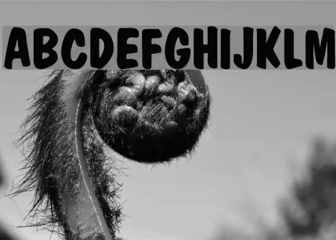 MarketBold Example 2