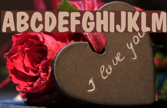 MarketBold Font examples