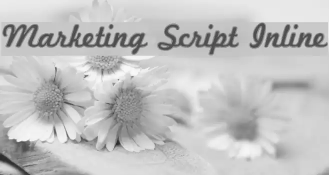 Marketing Script Inline Font examples