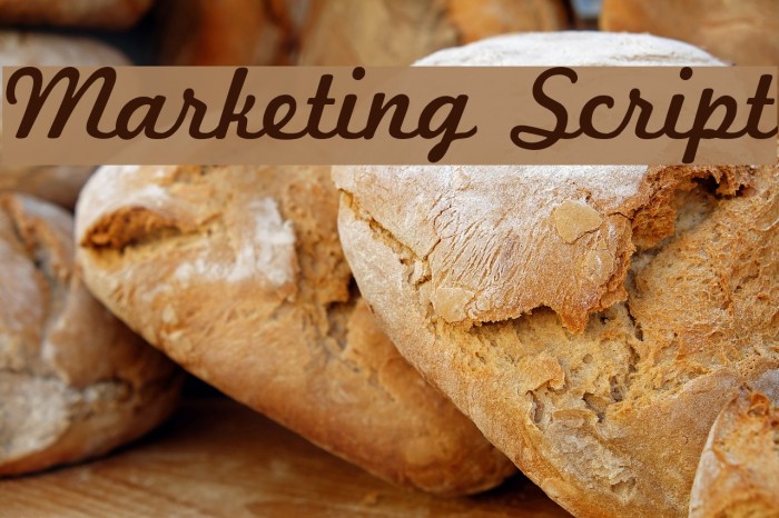 Marketing Script Font examples