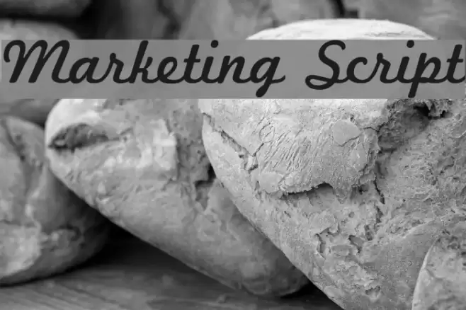 Marketing Script Font examples