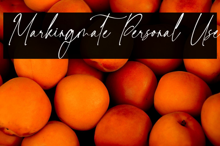 Markingmate Personal Use Example 1