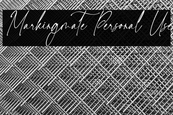 Markingmate Personal Use Example 2