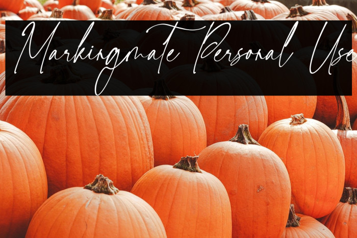 Markingmate Personal Use Example 3