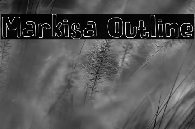 Markisa Outline Example 3