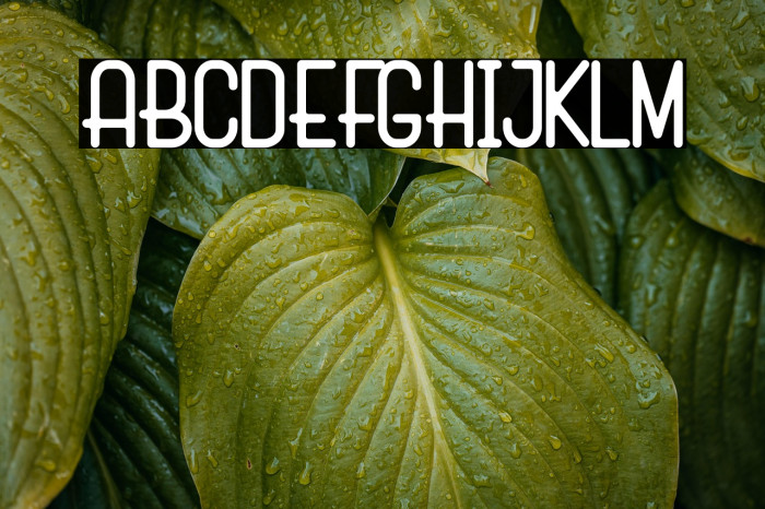 Marko Demo Example 1