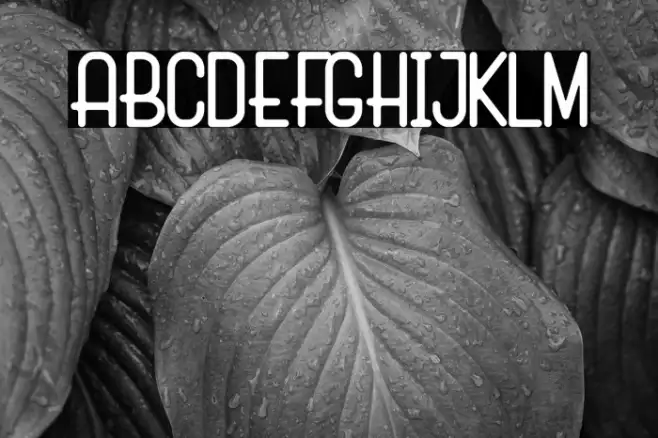 Marko Demo Example 1
