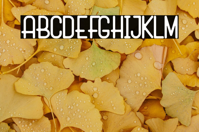 Marko Demo Example 3