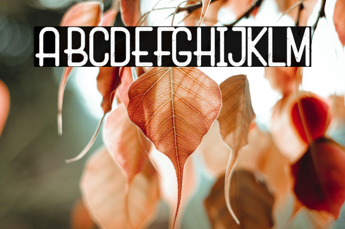 Marko Rough Demo Example 2