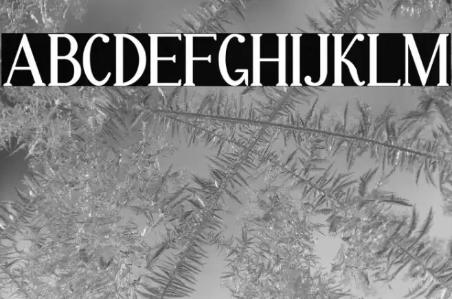 Markofontina Font examples