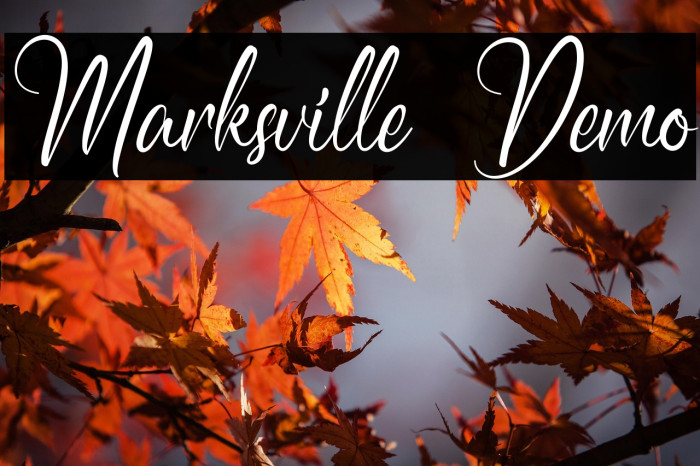 Marksville Demo Example 1