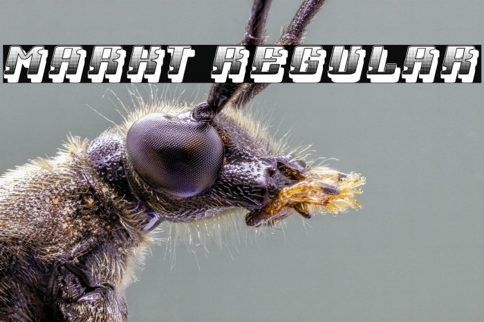 Markt Regular Example 2