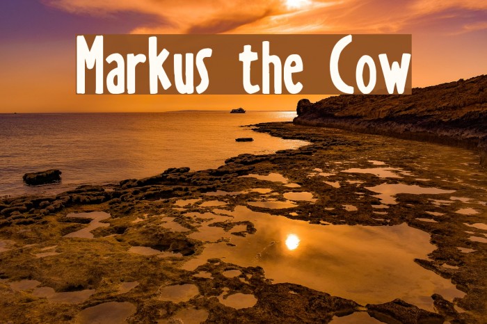 Markus the Cow Шрифта examples