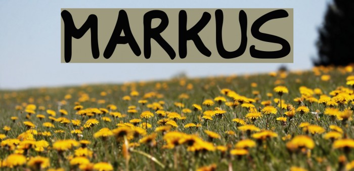 Markus Font examples