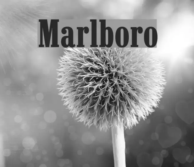 Marlboro Example 3
