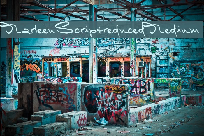 MarleenScriptreduced-Medium Font examples
