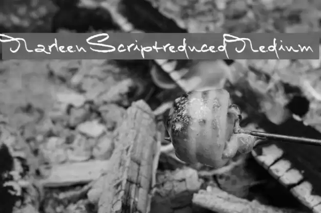 MarleenScriptreduced-Medium Font examples