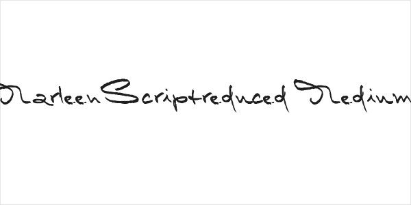 MarleenScriptreduced-Medium Logo